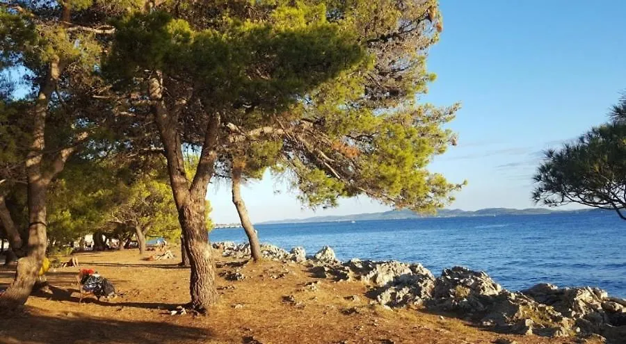 Apartman Rosa Zadar Croatia